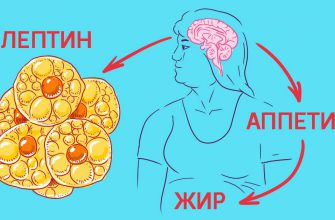 Как управлять голодом: 8 уверенных шагов к вечной стройности. Еда больше не властна над тобой.