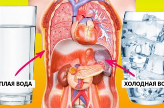 Теплая вода или холодная? Сделай выбор и проверь, что произойдет с твоим организмом. 8 из 10 ставят не на ту.