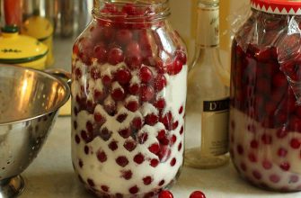 Созрела вишня! Отбираю самую сочную, самую вкусную — и в банку. Получается чистейшая амброзия.