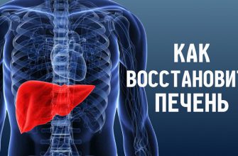 Очистить печень и восстановить все ее функции легко: всего пару глотков.