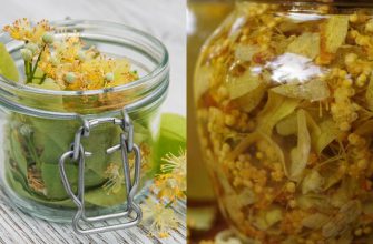 Знаменитая настойка графа Разумовского на липовом цвете: в моем доме наливают!