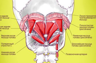 Небольшое смещение шейных позвонков, и болеть будет всё, что хочешь