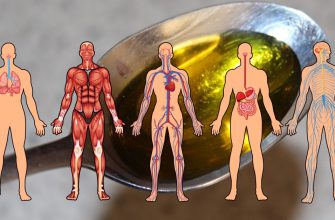 Народный рецепт от старости: масляное очищение всех органов и систем
