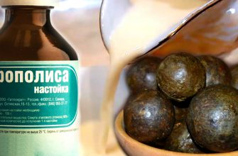 Прополисное молоко — суперцелебная настойка ото всех болезней.