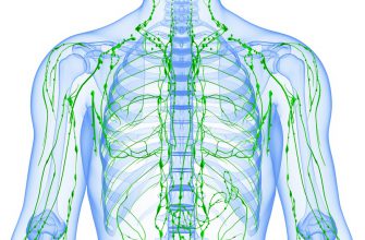 Золотые рецепты фитотерапии: очищение лимфы в один прием.