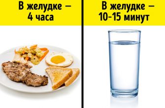 И все-таки можно ли пить воду во время еды?
