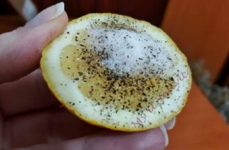 Соль, перец и лимон помогут решить эти 9 проблем