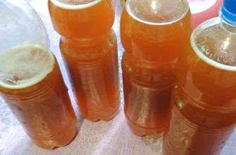 Домашний квас со вкусом из детства: мы за таким к бочке бегали