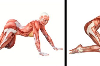 10 упражнений на растяжку, которые подарят вам гибкость кошки за 4 недели