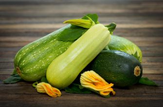 Как заготовить кабачки на зиму — интересные рецепты