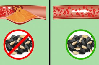 Что происходит с организмом, когда вы часто едите семечки (И правда ли, что они провоцируют аппендицит)
