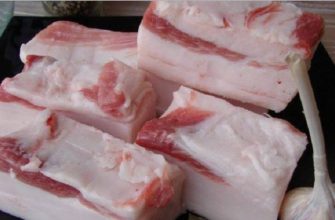 Вот что происходит с организмом, когда ты ешь сало. Не упади со стула!