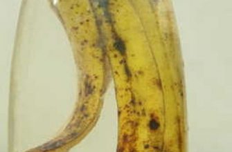 Подкормка для комнатных растений