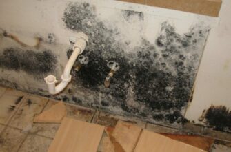 Распылите это средство и избавьтесь от плесени без вреда для здоровья!