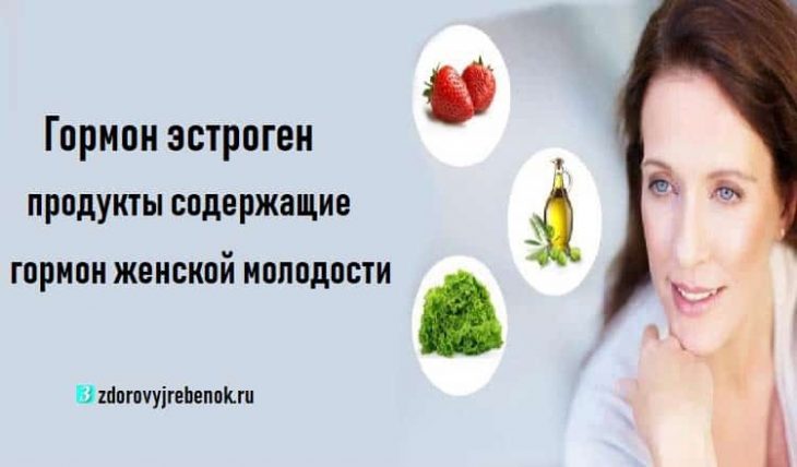 Гормон эстроген: продукты содержащие гормон женской молодости