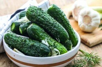 Малосольные огурцы в банке: 8 рецептов, как приготовить хрустящие и вкусные