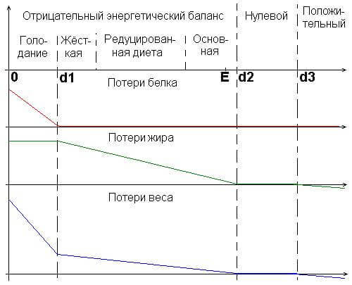 Диета и голодание: Что происходит в вашем организме