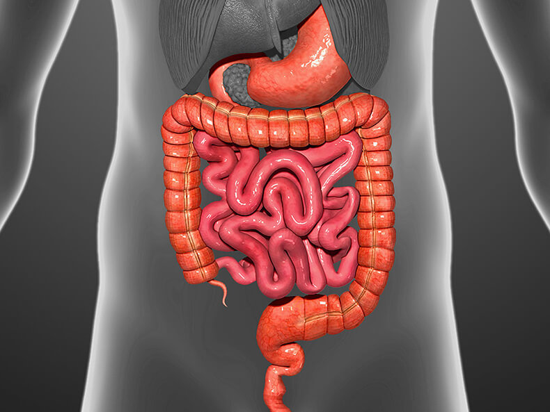 КИШЕЧНИК: 7 признаков неблагополучия и 3 совета для их устранения