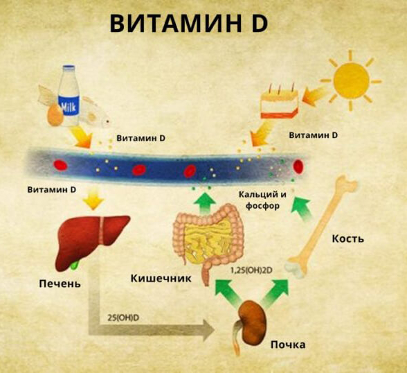 ТОП-5 признаков дефицита витамина D - Женский Журнал