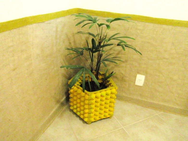 Не выбрасывайте упаковки от яиц!