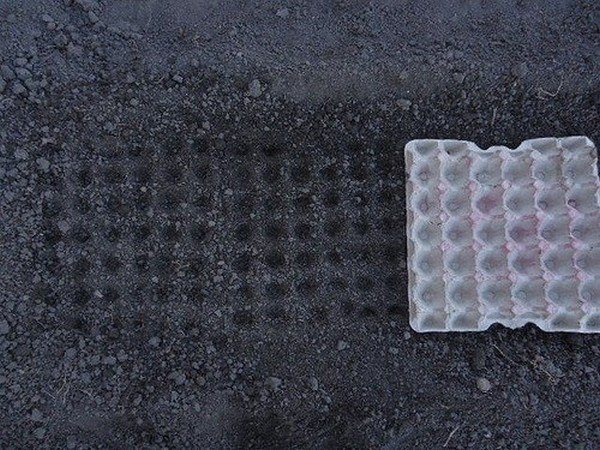 Не выбрасывайте упаковки от яиц!