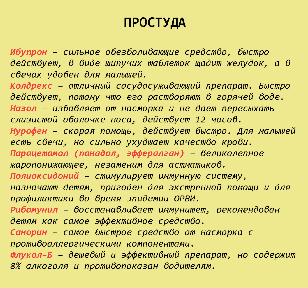 Шпаргалка на всю жизнь: 99 лекарств, которые могут вылечить почти все Шпаргалка на всю жизнь: 99 лекарств, которые могут вылечить почти все