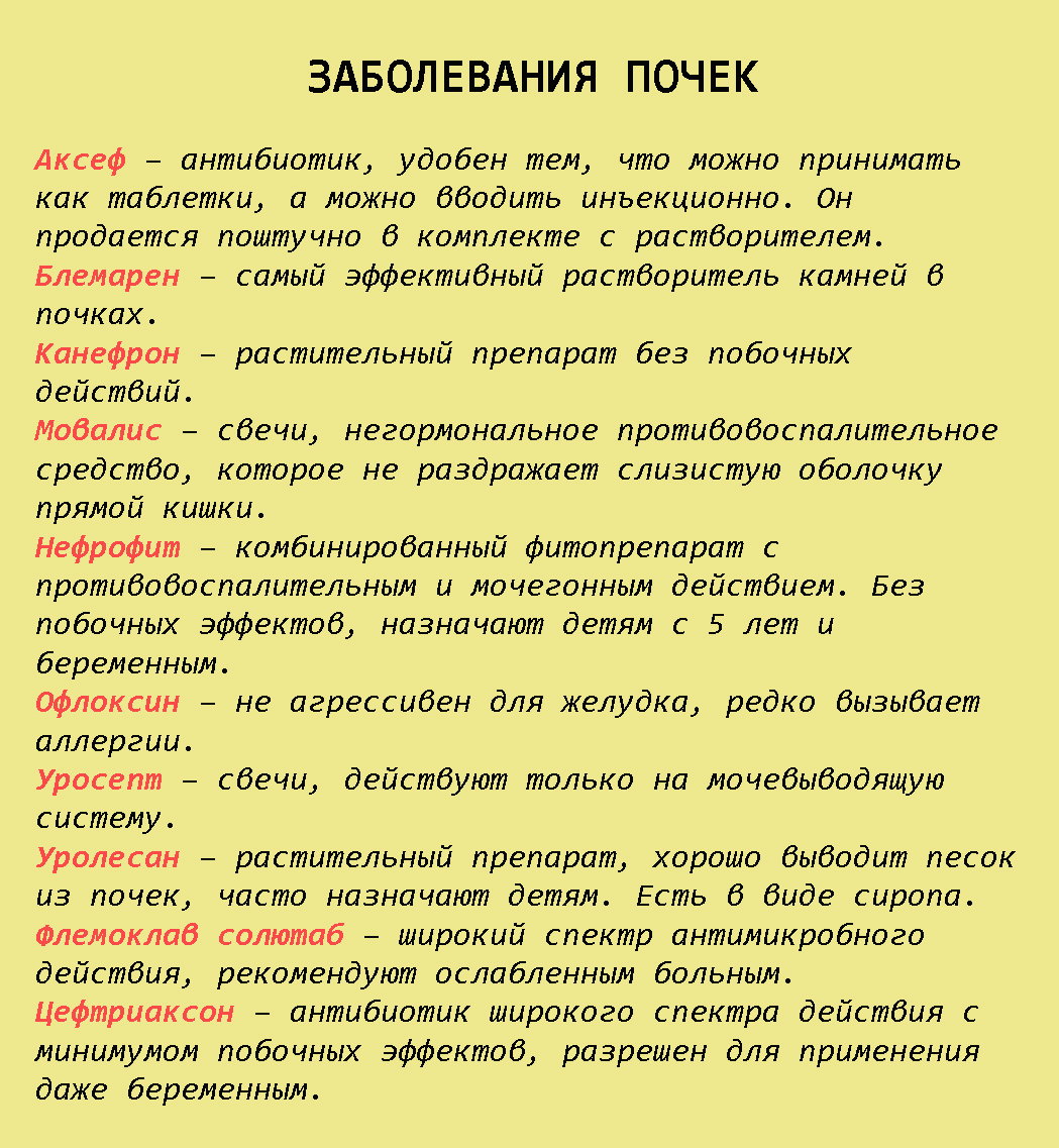 Шпаргалка на всю жизнь: 99 лекарств, которые могут вылечить почти все Шпаргалка на всю жизнь: 99 лекарств, которые могут вылечить почти все